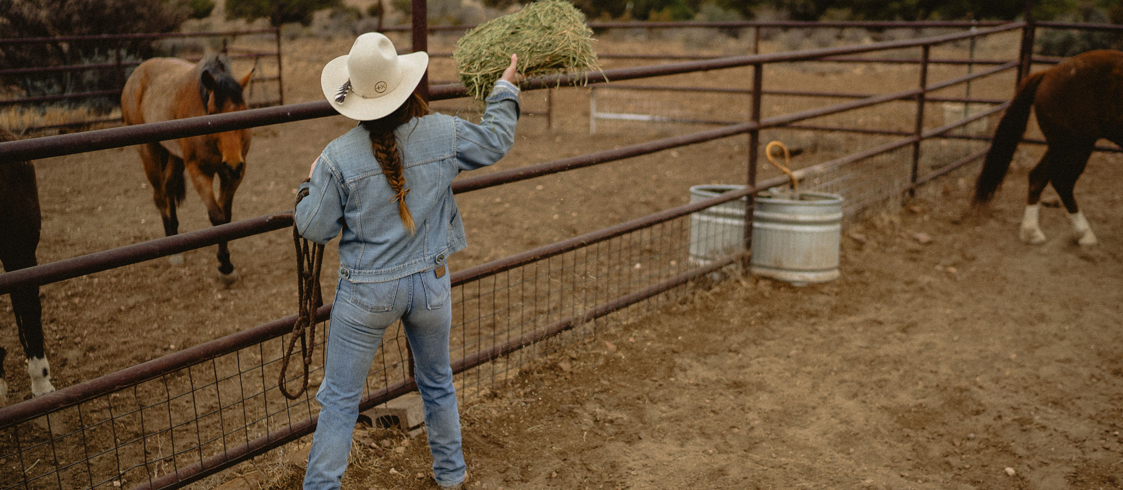 A woman feeding hay to a horse.